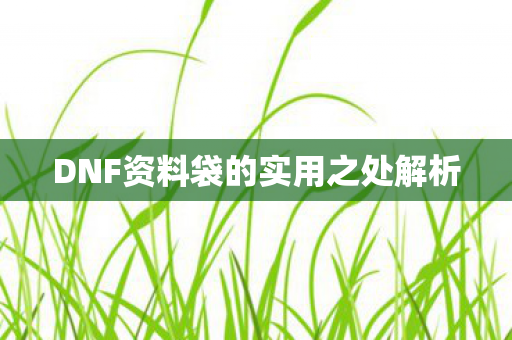 DNF资料袋的实用之处解析图片