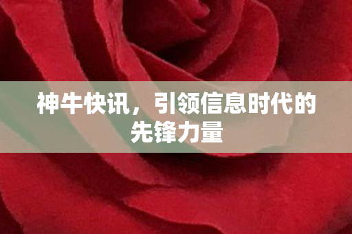 引领信息时代的先锋力量图片