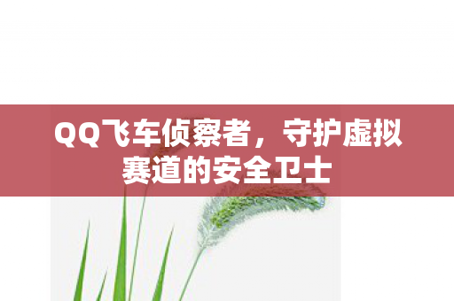 守护虚拟赛道的安全卫士图片