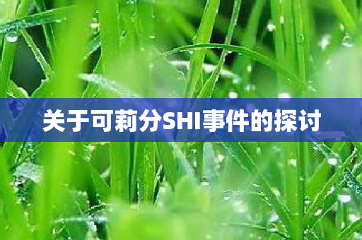 关于可莉分SHI事件的探讨图片