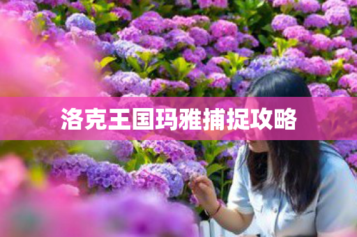 洛克王国玛雅捕捉攻略图片
