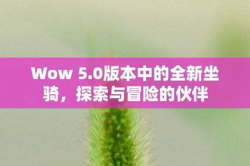 0版本中的全新坐骑图片