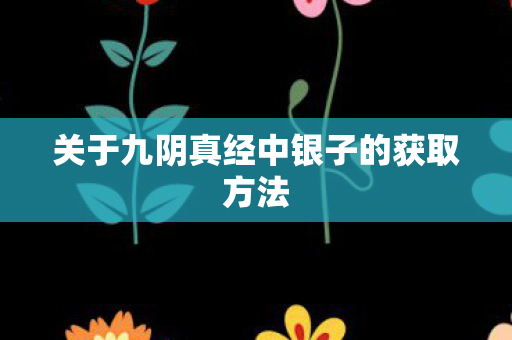 关于九阴真经中银子的获取方法图片