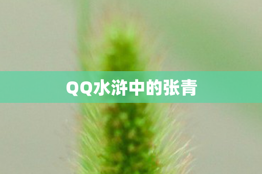 QQ水浒中的张青图片