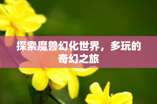 探索魔兽幻化世界图片