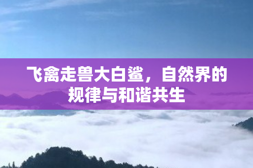 自然界的规律与和谐共生图片