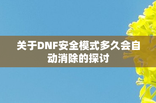 关于DNF安全模式多久会自动消除的探讨图片