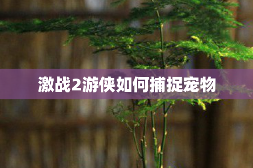 激战2游侠如何捕捉宠物图片