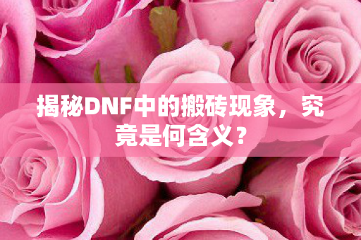 揭秘DNF中的搬砖现象图片
