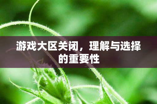 理解与选择的重要性图片
