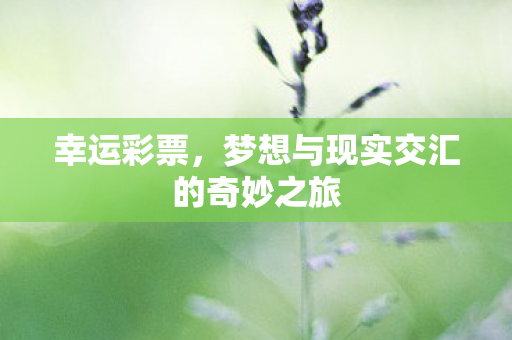 梦想与现实交汇的奇妙之旅图片