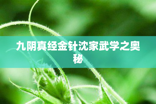 九阴真经金针沈家武学之奥秘图片
