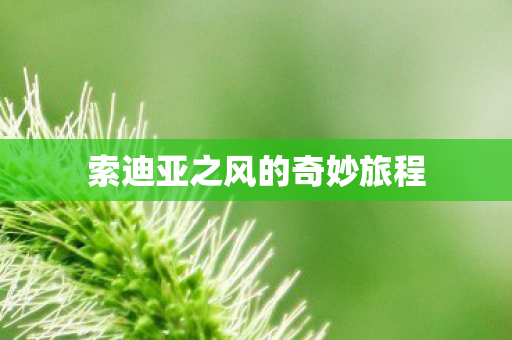 索迪亚之风的奇妙旅程图片