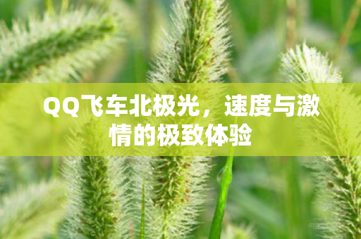 速度与激情的极致体验图片