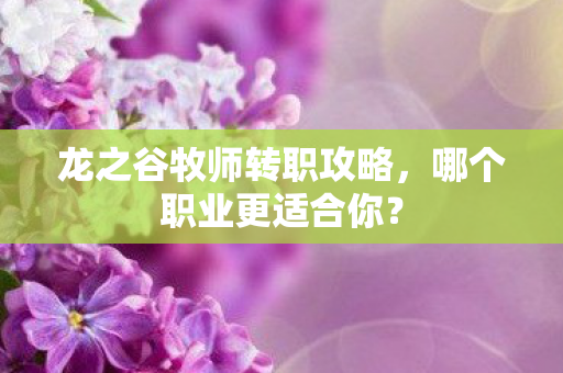 龙之谷牧师转职攻略图片