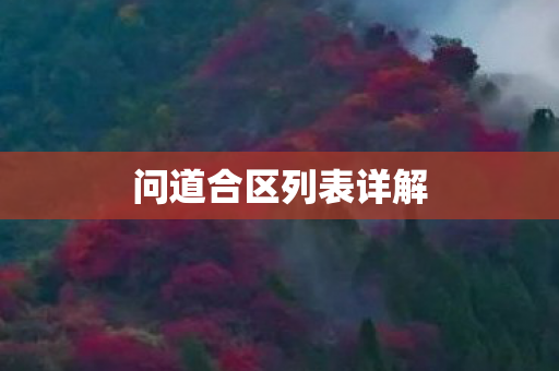 问道合区列表详解图片