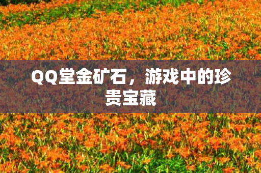 游戏中的珍贵宝藏图片