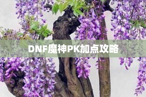 DNF魔神PK加点攻略图片