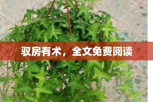 全文免费阅读图片