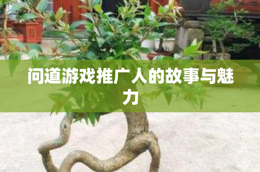 问道游戏推广人的故事与魅力图片