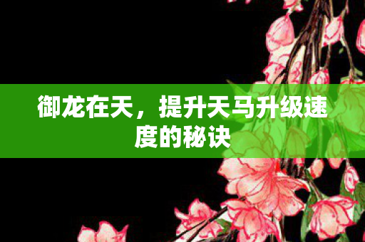 提升天马升级速度的秘诀图片