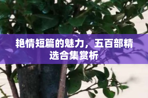 五百部精选合集赏析图片