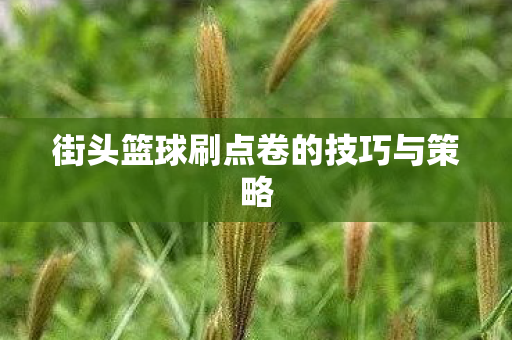 街头篮球刷点卷的技巧与策略图片