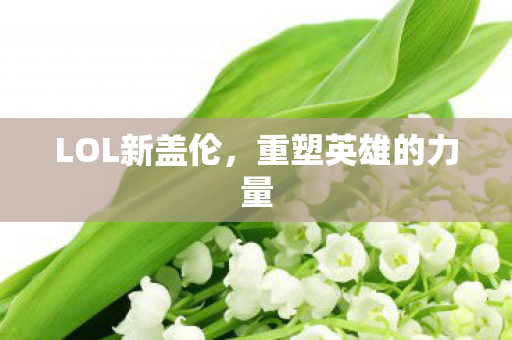 重塑英雄的力量图片