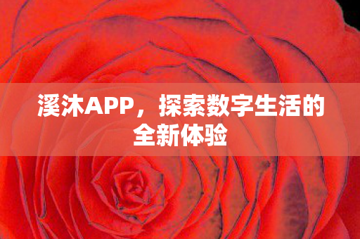 探索数字生活的全新体验图片