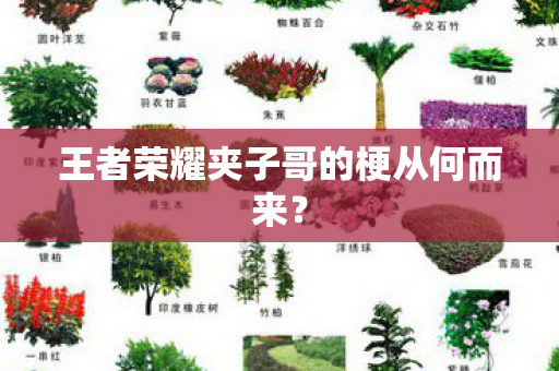 王者荣耀夹子哥的梗从何而来图片