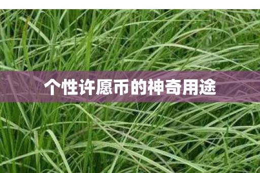个性许愿币的神奇用途图片