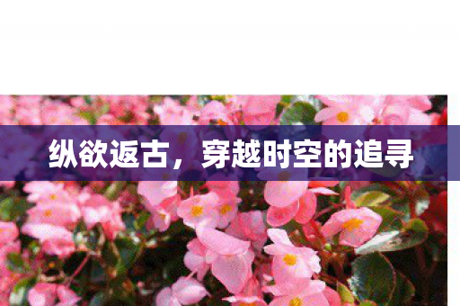 穿越时空的追寻图片