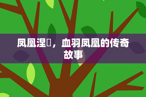 血羽凤凰的传奇故事图片