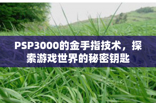PSP3000的金手指技术图片