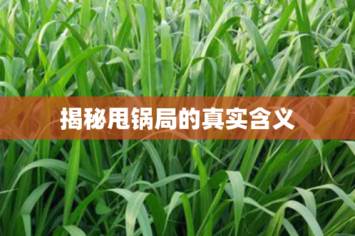 揭秘甩锅局的真实含义图片