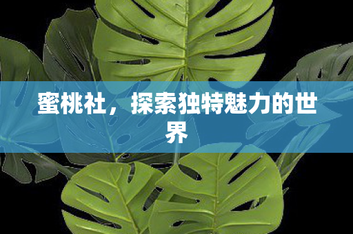 探索独特魅力的世界图片
