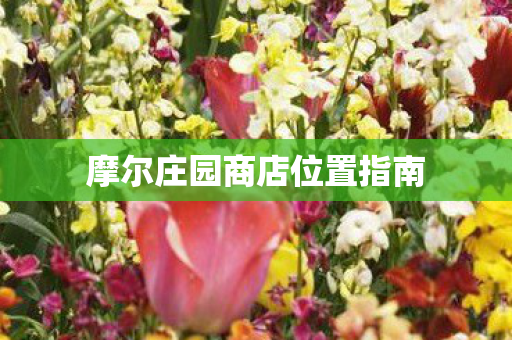 摩尔庄园商店位置指南图片