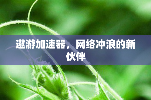 网络冲浪的新伙伴图片