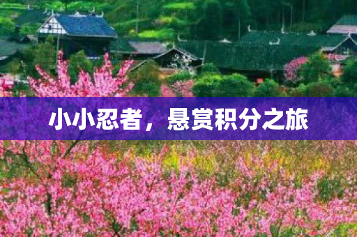 悬赏积分之旅图片
