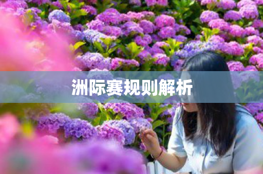 洲际赛规则解析图片