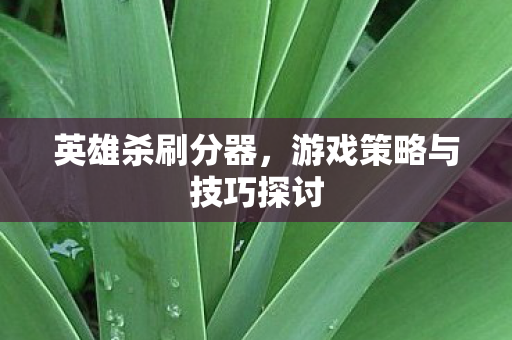 游戏策略与技巧探讨图片
