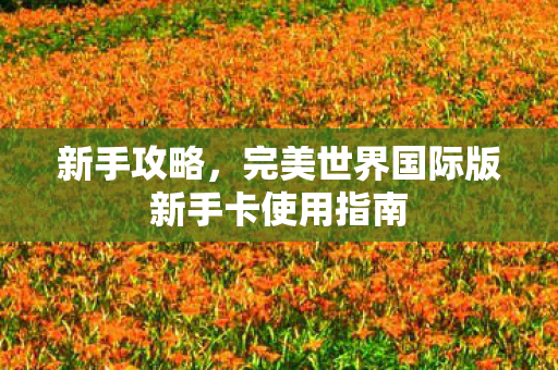 完美世界国际版新手卡使用指南图片