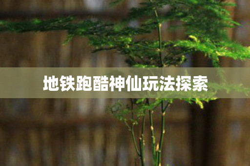 地铁跑酷神仙玩法探索图片