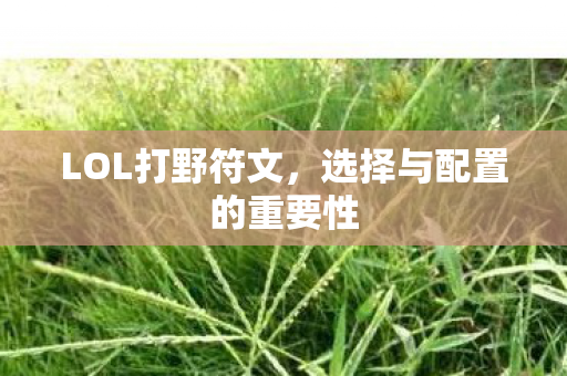 选择与配置的重要性图片