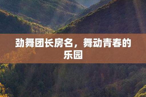 舞动青春的乐园图片
