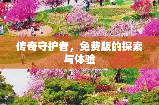 免费版的探索与体验图片