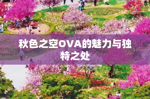 秋色之空OVA的魅力与独特之处图片