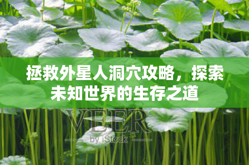 探索未知世界的生存之道图片