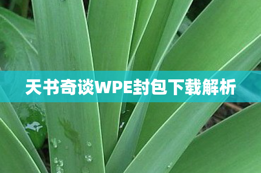 天书奇谈WPE封包下载解析图片