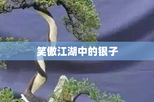 笑傲江湖中的银子图片